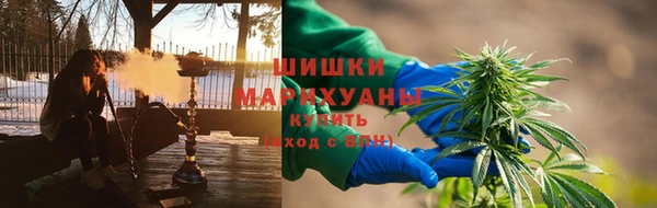 шишки Каменка