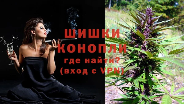 шишки Каменка