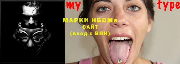 шишки Каменка