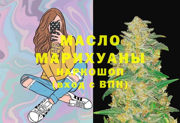 шишки Каменка