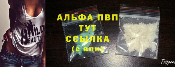 шишки Каменка