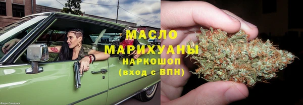 шишки Каменка